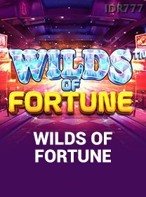 Wilds Of Fortune game cover